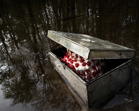 Via Cig Harvey and Robert Mann Gallery